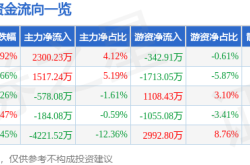 皖能电力股价异动：资金暗涌，是机遇还是风险？